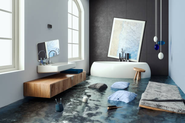 Best Local water damage restoration  in Sewalls Point, FL