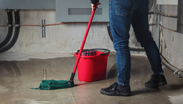 Best Sewage cleanup and water damage restoration  in Sewalls Point, FL