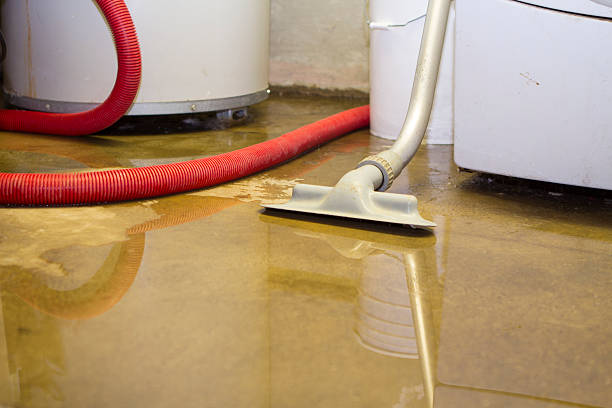 Best Residential water damage restoration  in Sewalls Point, FL