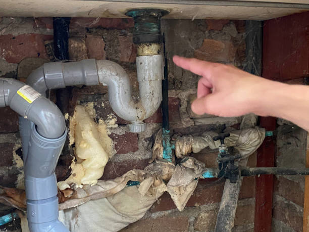 Best Water damage cleanup near me  in Sewalls Point, FL